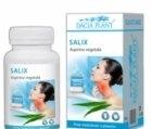 SALIX 500 60cpr DACIA PLANT