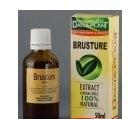 TINCTURA BRUSTURE 50ML DACIA PLANT