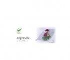 ANGHINARE 30cps blister MEDICA