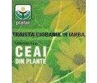 CEAI TRAISTA CIOBANULUI IARBA 50gr PLAFAR