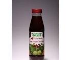 SIROP ARMONIA FRUCTELOR 500ml PLAFAR