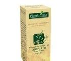 ALNUS INCANA (ARIN ALB) 50ml PLANTMED