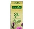 CORNUS SANGUINEA (SANGER) 50ml PLANTMED