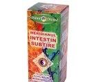TINCTURA MERIDIAN INTESTIN SUBTIRE 100ml SANTO RAPHAEL