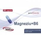 MAGNEZIU+B6 50tb REMEDIA
