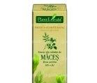 ROSA CANINA (MACES) 50ml PLANTMED - Produse naturiste