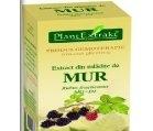 RUBUS FRUCTICOSUS (MUR) 50ml PLANTMED - Produse naturiste