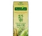 SALIX ALBA (SCOARTA SALCIE) 50ml PLANTMED - Produse naturiste