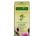 VIBURNUM LANTANA (CALIN) 50ml PLANTMED - Produse naturiste