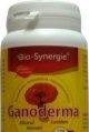PACHET - GANODERMA 720mg 60cps (1+1 gratis) BIO-SYNERGIE ACTIV