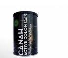 FIBRE DIN SEMINTE DE CANEPA 300g CANAH