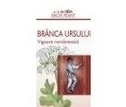 BRANCA URSULUI 60cps DACIA PLANT