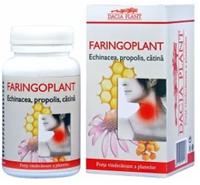 FARINGOPLANT (ECHINACEEA,PROPOLIS,CATINA)60cpr DACIA PLANT