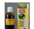 TINCTURA COADA CALULUI 50ml DACIA PLANT