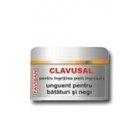 UNGUENT NEGI CLAVUSAL 10ml FAVISAN