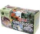 CEAI GINECOLOGIC 30GR HYPERICUM