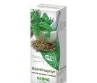 GYARDINOPHYT 30ml OZONE NATURALES