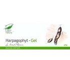 GEL HARPAGOPHYT 40gr MEDICA