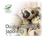 OU PREPELITA JAPONEZA 30cps BLISTER MEDICA