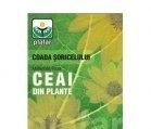 CEAI COADA SORICELULUI IARBA 50gr PLAFAR