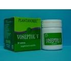 VOSEPTOL V 20tb PLANTAVOREL