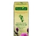 BETULA VERRUCOSA (MEST MUGURI) 50ml PLANTMED