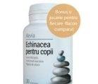 ECHINACEA 100mg PENTRU COPII 30cpr+JUCARIE ALEVIA - Produse naturiste