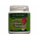 PACHET - EXTRACT SAMBURI STRUGURI 30cps (1+1 gratis) BIO-SYNERGIE ACTIV - Produse naturiste