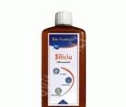 SILICIU NATURAL 500ml BIO-SYNERGIE ACTIV - Produse naturiste