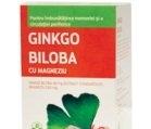 GINKGO BILOBA SI MAGNEZIU FORTE 60cpr BIOFARM - Produse naturiste