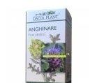 ANGHINARE 60cpr DACIA PLANT - Produse naturiste