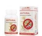 ANTIVIRAL 60cpr DACIA PLANT - Produse naturiste