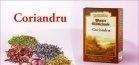CEAI CORIANDRU 100g DACIA PLANT - Produse naturiste