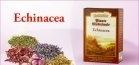 CEAI ECHINACEEA 50gr DACIA PLANT - Produse naturiste