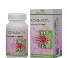 ECHINACEEA 60cpr DACIA PLANT - Produse naturiste