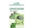 GINKGO BILOBA 60 cps DACIA PLANT - Produse naturiste