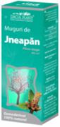 JNEAPAN MUGURI 50ml DACIA PLANT - Produse naturiste