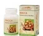 MACCA 60cpr DACIA PLANT - Produse naturiste