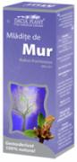 MUR MLADITE 50ml DACIA PLANT - Produse naturiste