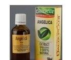 TINCTURA ANGELICA 50ml DACIA PLANT - Produse naturiste