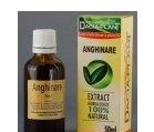 TINCTURA ANGHINARE 50ml DACIA PLANT - Produse naturiste