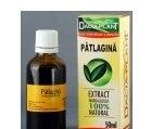 TINCTURA PATLAGINA 50ml DACIA PLANT - Produse naturiste