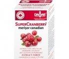 SUPER CRANBERRY (Merisor canadian) 20cps DAMAR - Produse naturiste