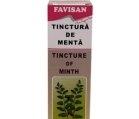 TINCTURA MENTA 50ml FAVISAN - Produse naturiste