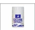 CICOARE EXTRACT 80cps HERBAGETICA - Produse naturiste