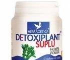 DETOXIPLANT SUPLU 200cps HERBAGETICA - Produse naturiste
