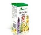 SIROP PATLAGINA 100ml HIPOCRATE - Produse naturiste