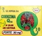 COENZIMA Q10+ULEI CATINA FORTE 40cps(moi) HOFIGAL - Produse naturiste