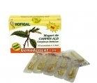 MUGURI CARPEN ALB 30 monodz HOFIGAL - Produse naturiste