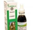 TINCTURA CIMBRU 50ml HOFIGAL - Produse naturiste
